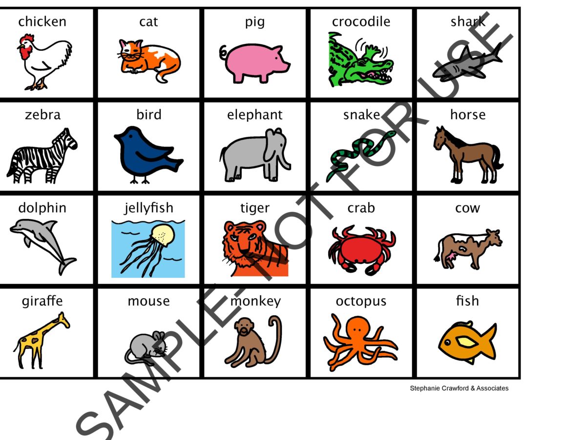 Describing Animals Pack Stephanie Crawford and Associates